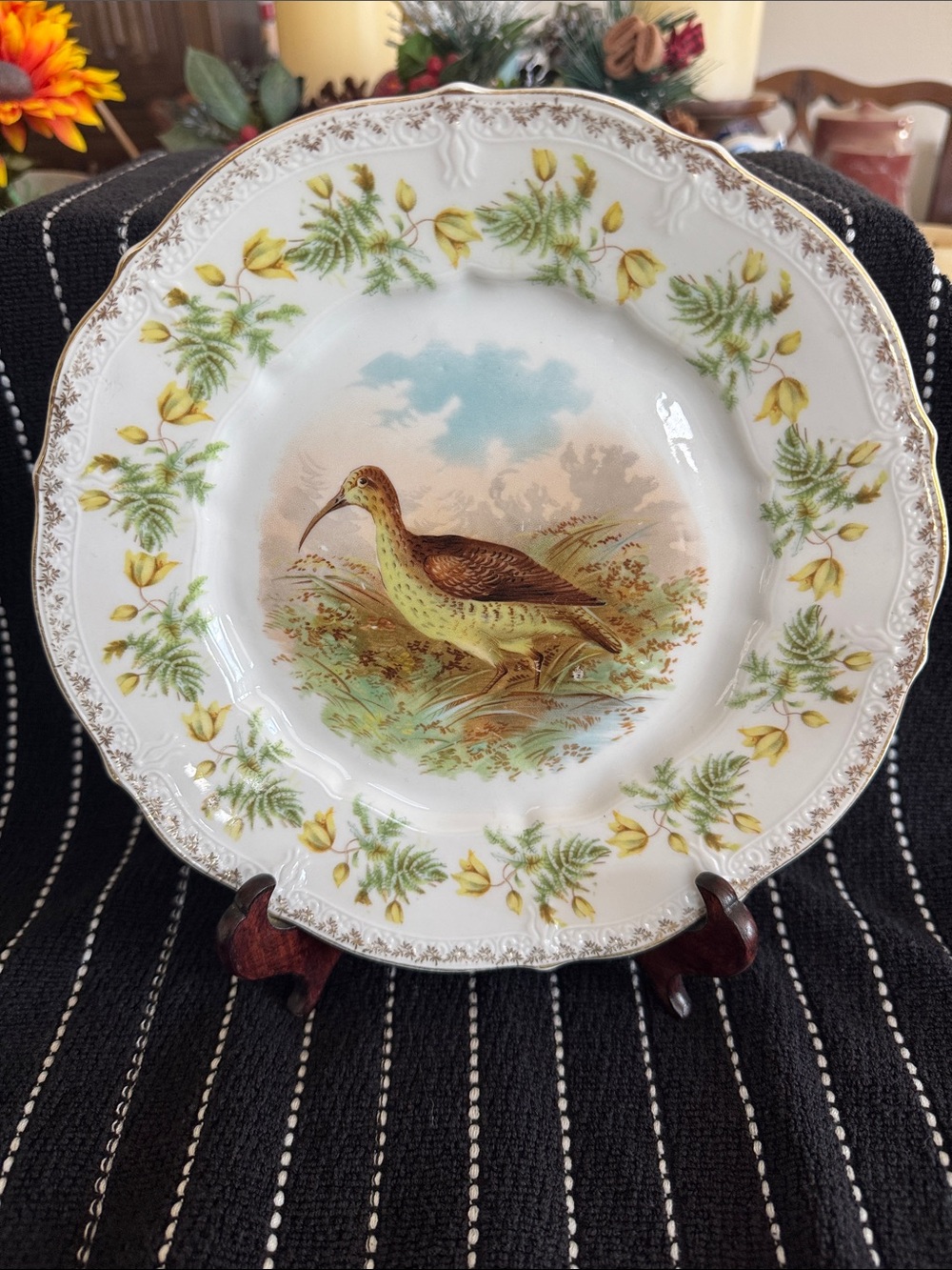 Carl Tielsch Antique German Porcelain Curlew Game Bird Cabinet Plate